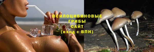 мескалин Абаза