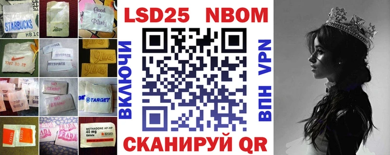 LSD-25 экстази кислота  darknet клад  Пудож  закладки 