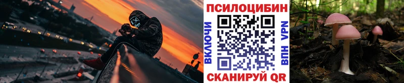 Галлюциногенные грибы MAGIC MUSHROOMS  где купить наркоту  Пудож 